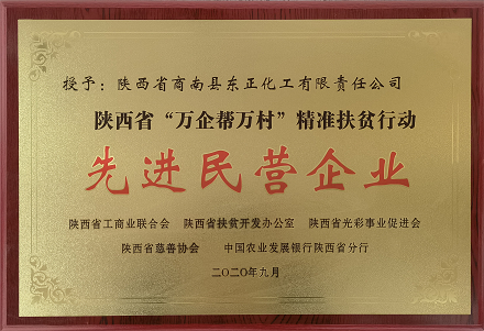 陕西先进民营企业